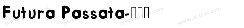 Futura Passata字体转换